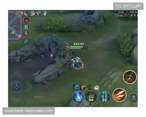 王者荣耀 新战术体系逐渐形成，王者荣耀所有战术体系